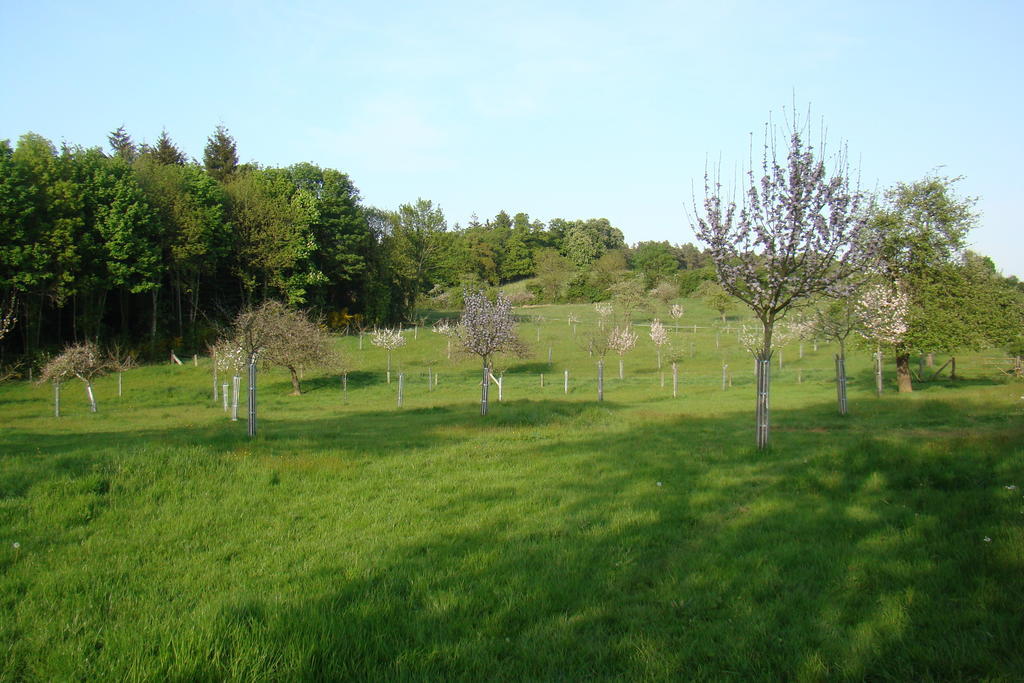 Campandré-Valcongrain Gite De La Cour الغرفة الصورة